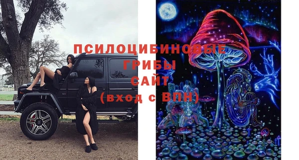ПСИЛОЦИБИНОВЫЕ ГРИБЫ Алексеевка