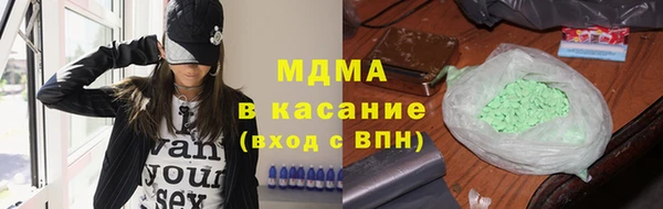 индика Осинники