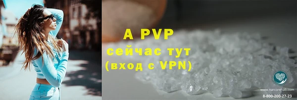 твердый Алзамай