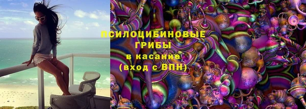 ПСИЛОЦИБИНОВЫЕ ГРИБЫ Алексеевка
