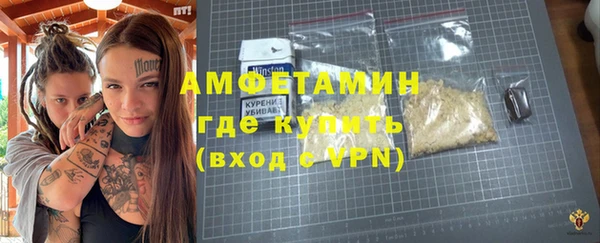 индика Осинники