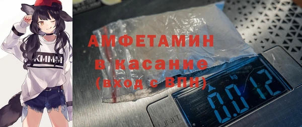 индика Осинники